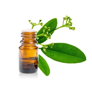 Huile essentielle Ravintsara (50ml)